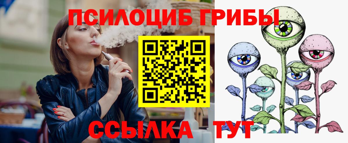 Саранск  Псилоцибиновые грибы ЛСД  даркнет сайт  Вход с VPN 
